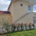 Tolosi פודגוריצה
