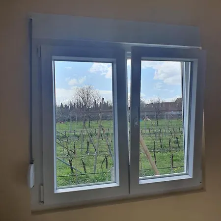 Tolosi Apartamento Podgorica